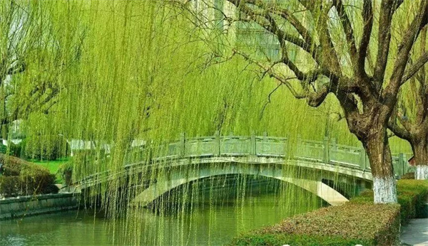微信图片_20220920215651