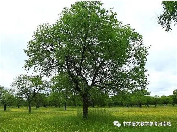 微信图片_20220920215724