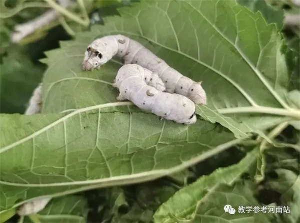 微信图片_20220924122347