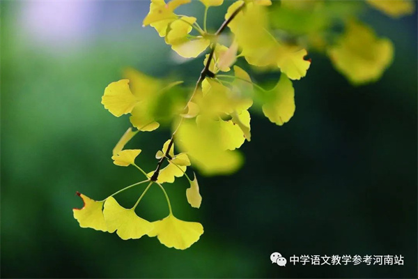 微信图片_20220927210702