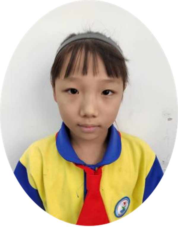 小小“动物园”正阳县第三小学 四（3）班 汪博涵
