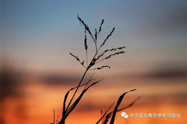 微信图片_20220929171926