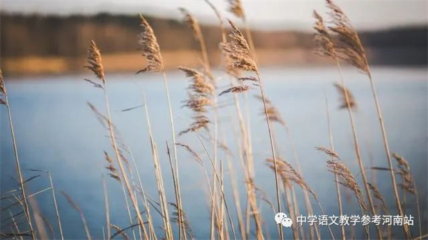 微信图片_20220929082549