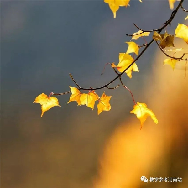 微信图片_20221003162916