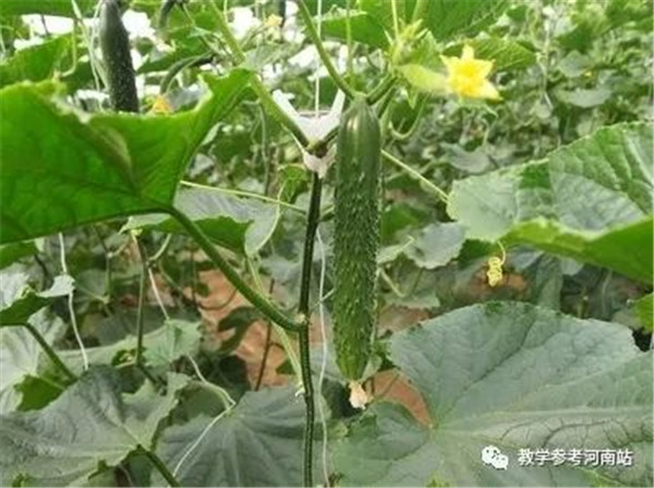 微信图片_20221003163833