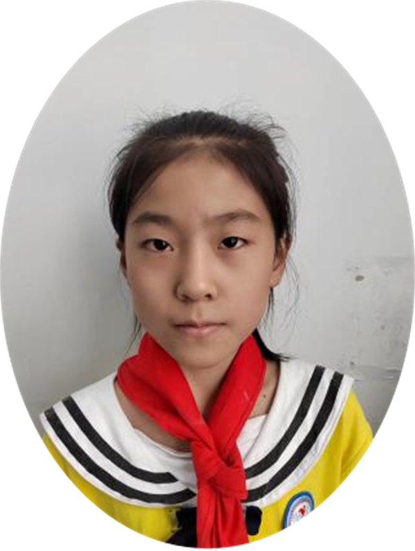 含羞草 正阳县第三小学 四（1）班 陈诗涵