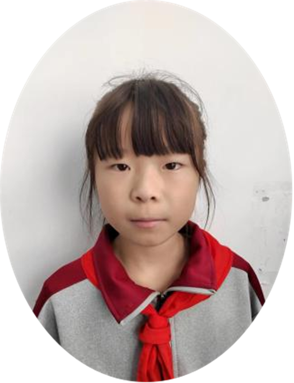 班级“动物园”正阳县第三小学 四（2）班 张梓涵
