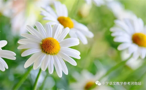 微信图片_20221009192218