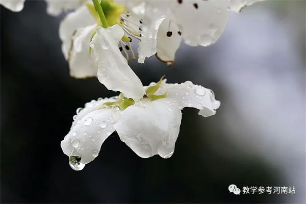 微信图片_20221009193534