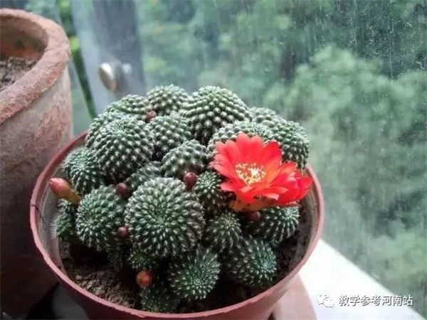 微信图片_20221011121910