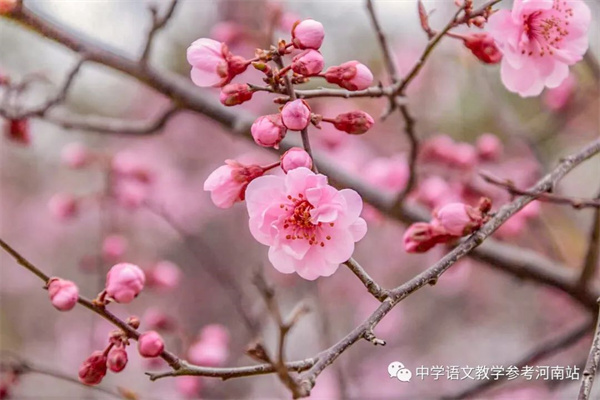 微信图片_20221015144040