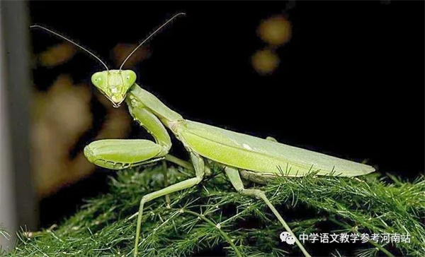 微信图片_20221017114115