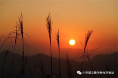彭银露专栏 | 老 王