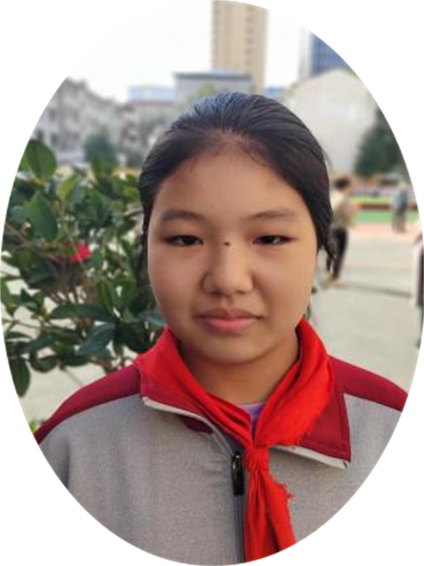 国庆见闻正阳县第三小学 六（4）李想