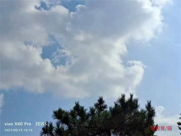 微信图片_202205161516399