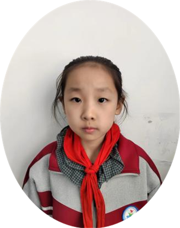 绿豆生长记正阳县第三小学 四（2）班 肖杨
