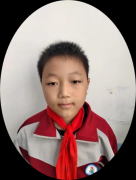 小绿龟