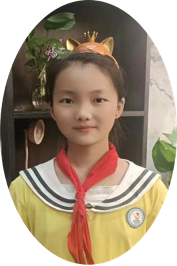 二十年后的家乡正阳县第三小学 五（4）班 叶晨汐