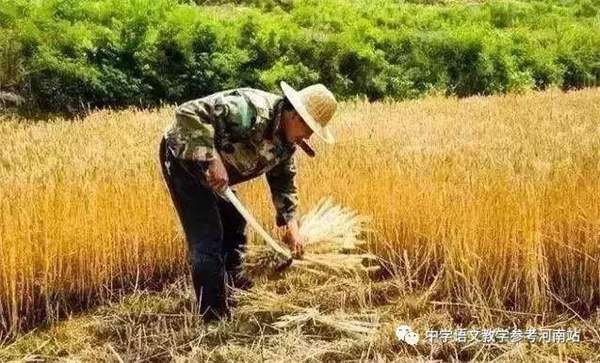 微信图片_20221020083437