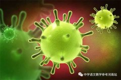 未来小作家 | 李淑颖：那一次，我真自豪