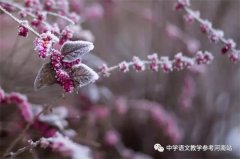 孙朋周专栏 | 白露为霜