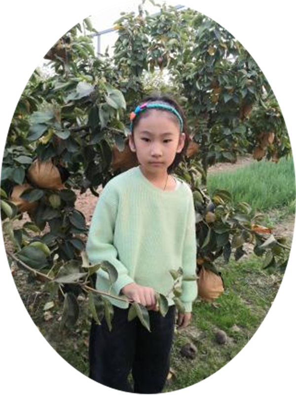 我的梦想正阳县第三小学  三（5）班  贺艺恩
