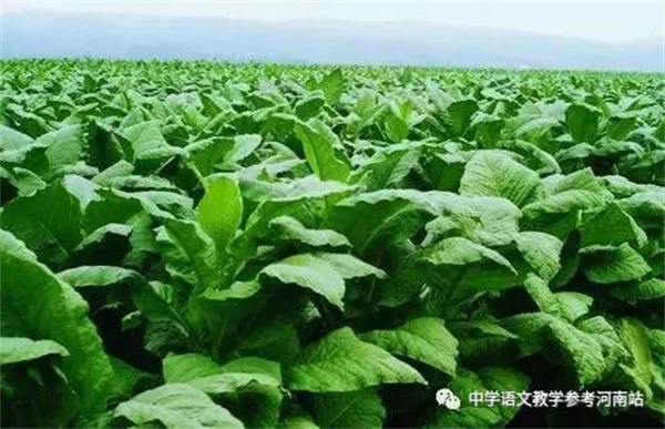 微信图片_20221027160405