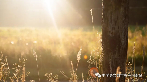 微信图片_20221027160741