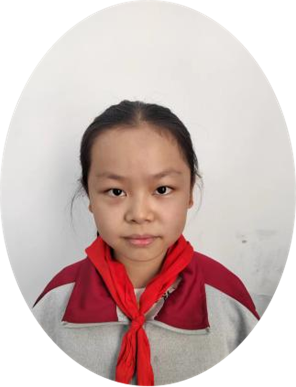 二十年后的家乡正阳县第三小学 五（4）班 孙晨曦