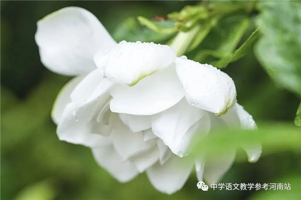 微信图片_20221106095508