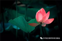 罗菲专栏 | 我走了