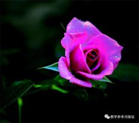 张好美专栏 | 心存美好（有感于刘晖编辑走哪拍哪）