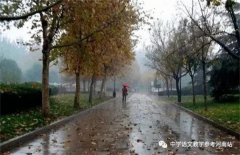 崔中华专栏 | 小 雪