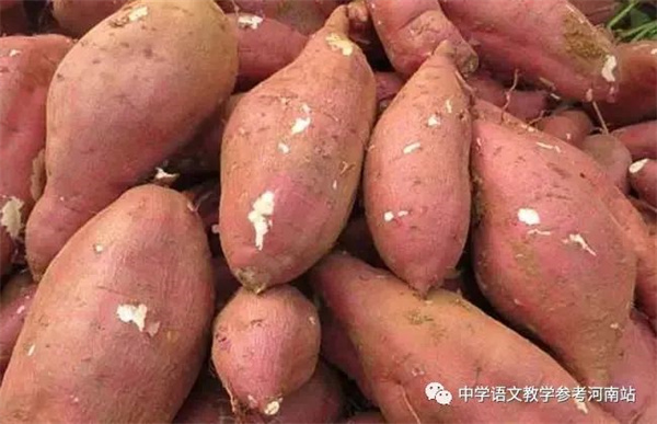 微信图片_20221124083607