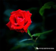 卞德才专栏 | 从今天起，做个“好色”的人（有感于刘编辑