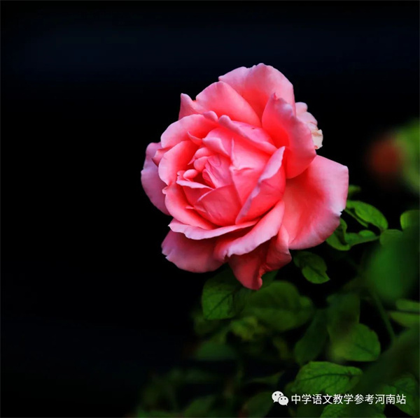 微信图片_20221125084659