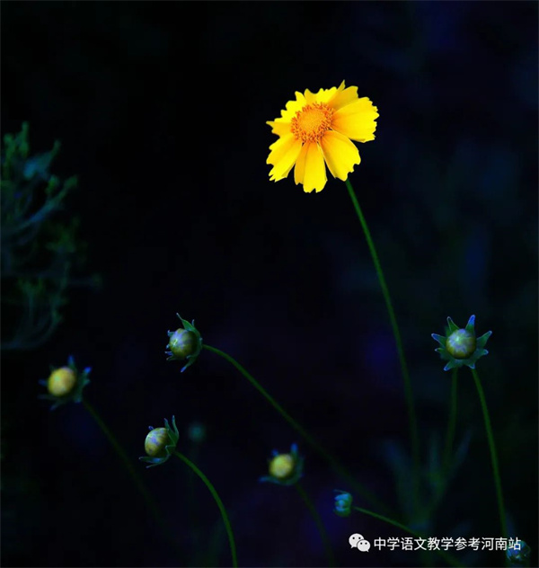 微信图片_20221125084702