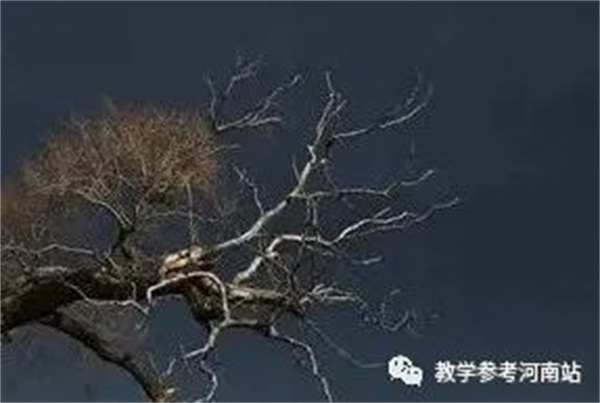 微信图片_20221127101608