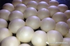 文学作品 | 张中民：馍 香