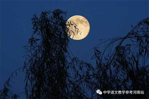 微信图片_20221128114844