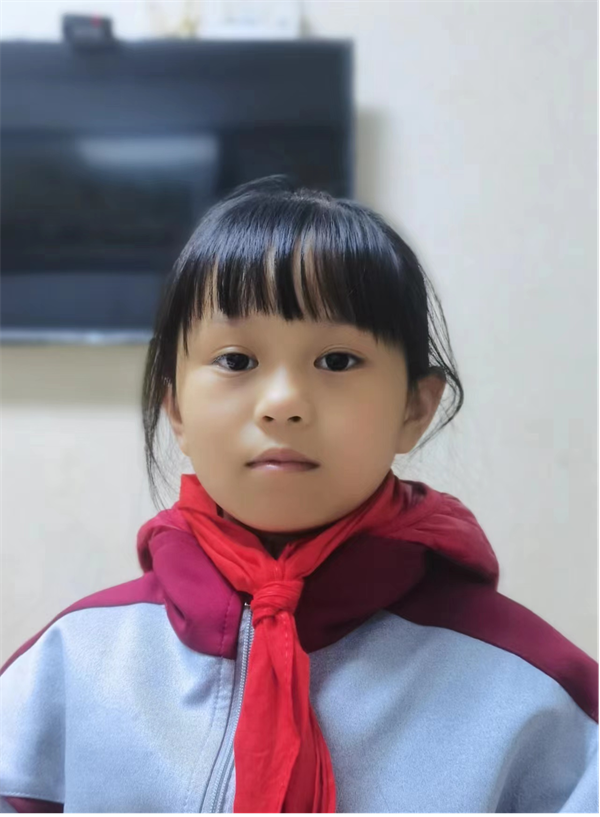 老家的枇杷树正阳县第三小学 五（5）班  周静雯