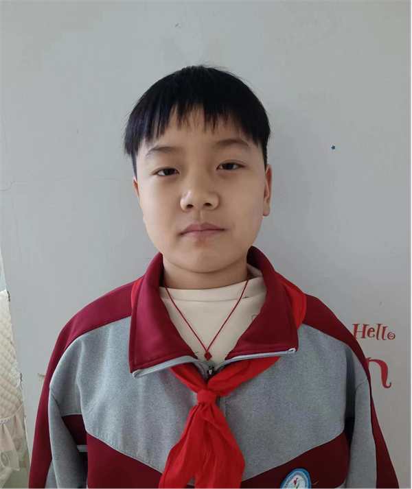 上网课的日子正阳县第三小学 五（2）班 陈一硕