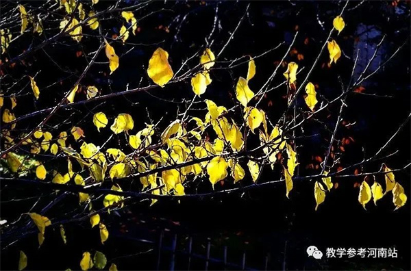 微信图片_20221202154250