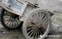 文学作品 | 肖社芬：我的父亲