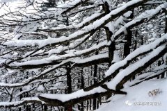 宋艳丽专栏 | 风雪骑行人