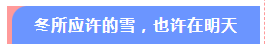 微信截图_20221210223229