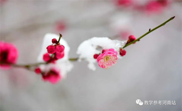 微信图片_20221210223234