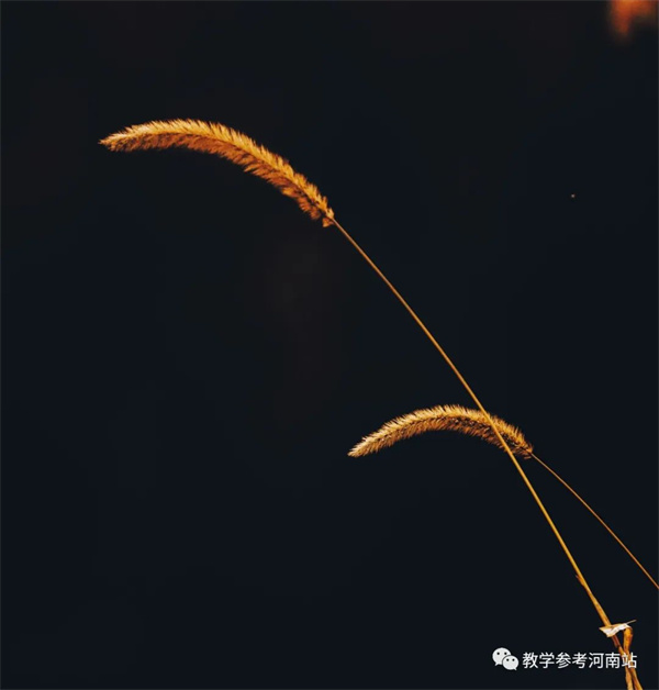 微信图片_20221212090631