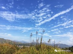 陈艳敏专栏 | 深挚热烈，云淡风轻（读蒋勋《云淡风轻》）
