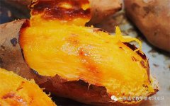薛福霞专栏 | 暖 香